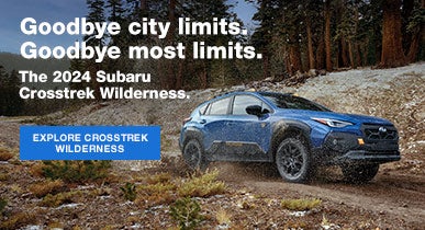 2024 Subaru Crosstrek Wilderness | Dulles Motorcars Subaru in Leesburg VA